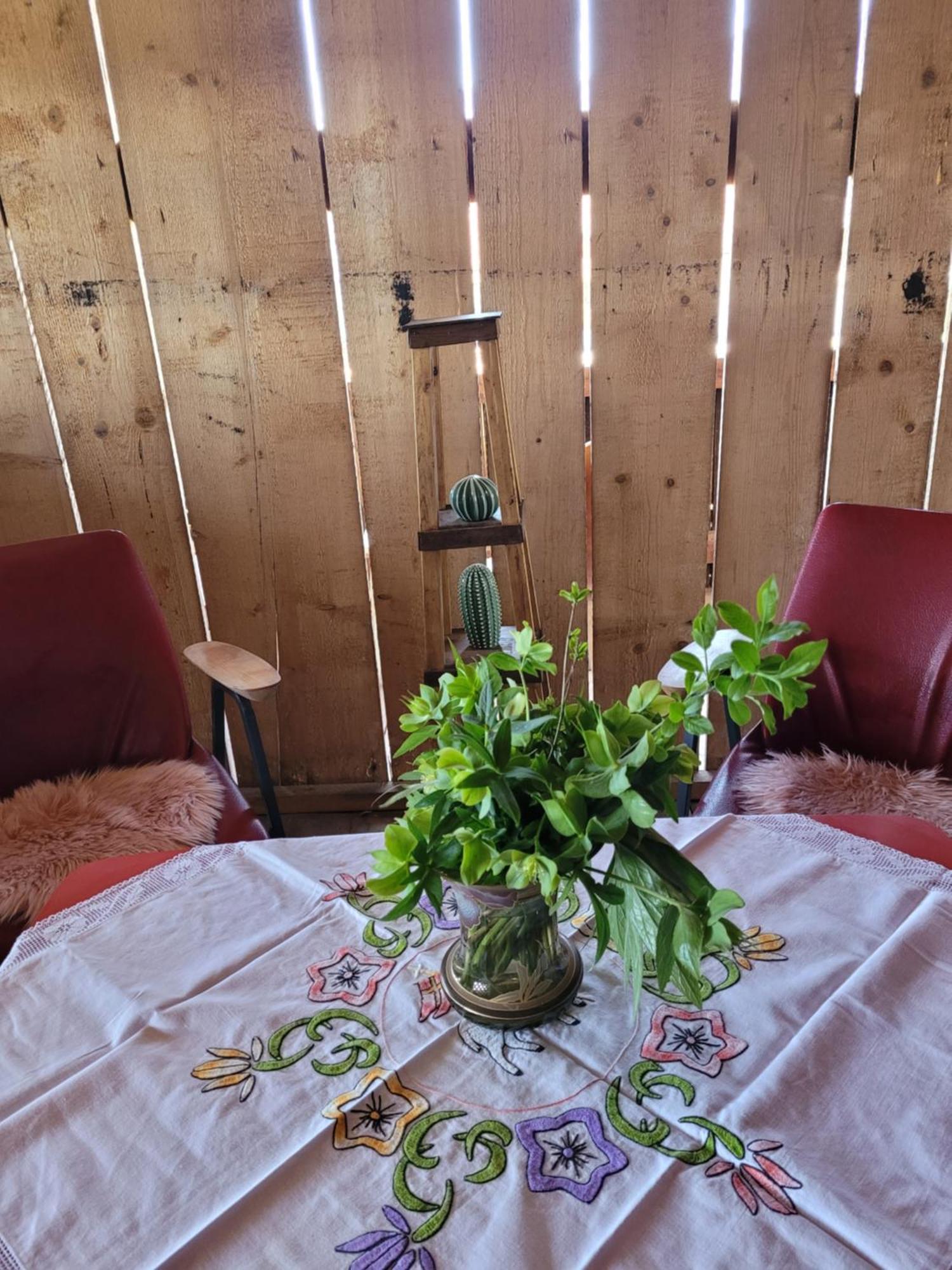 Auberge de jeunesse Nomads Glamp à Bled Extérieur photo